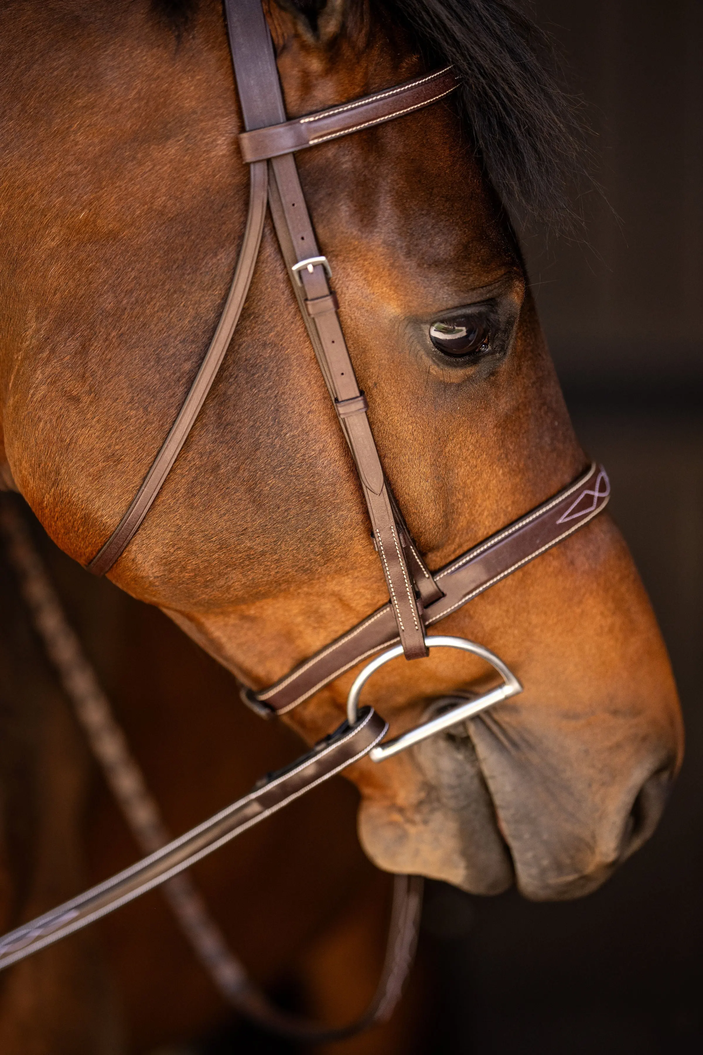 Huntley Equestrian Sedgwick Fancy Stitched Square Raised Hunter Horse Bridle with Reins - Image 4